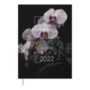 Щоденник датований Buromax MAGIС,   рожевий 2022г.,  336ст.    