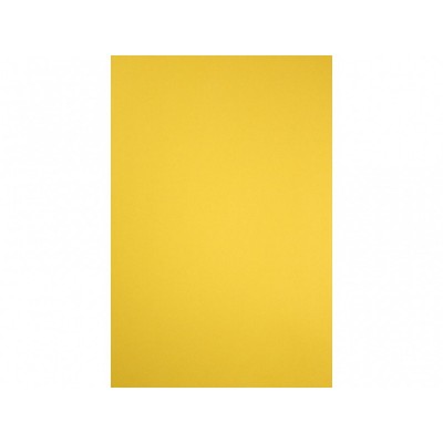 Бумага для рисования Fabriano 16F2144 №44 д/паст Tiziano B2 (50х70см) 160г/м2, среднее зерно желтый Бумага для рисования Fabriano 16F2144 №44 д/паст Tiziano B2 (50х70см) 160г/м2, среднее зерно желтый